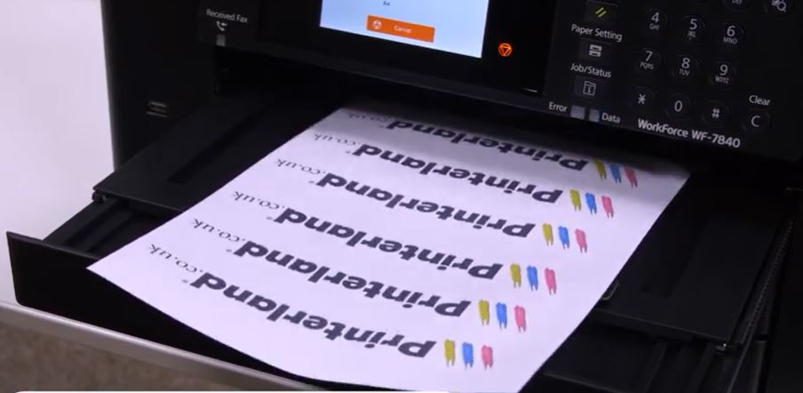  Color accuracy and print quality are both passable. 
